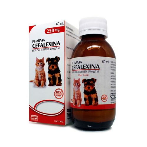 Cefalexina Suspension