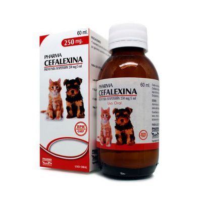 Cefalexina Suspension