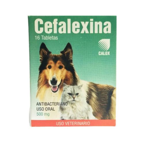 Cefalexina 500mg