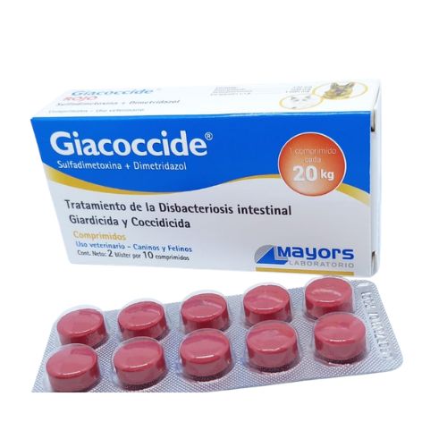 Giacoccide 20