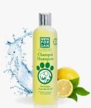 Shampoo Anticaspa