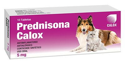 Calox Prednisona 5 mg – Antiinflamatorio, Antialérgico, Corticoide Sintético, Uso Oral – 1 Tableta