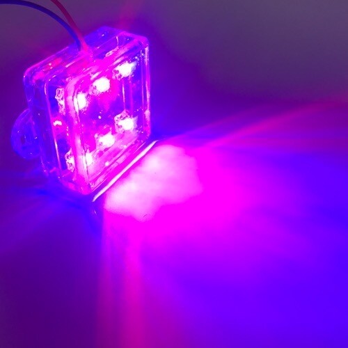 LED  Square​ Stable light 12V  Blue-Red