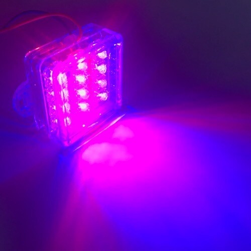 LED12  Square​ Stable light 12V Blue-Red