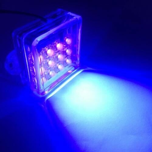 LED 12 Square​ Flashing light 12V Purple