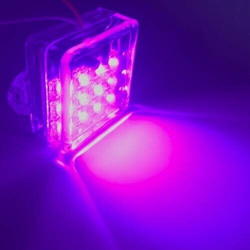 LED 12 Square​ Flashing light 12V Pink