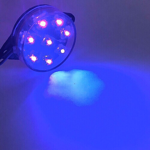 LED18 ChatuKham Stable light 12V Purple LED18 ChatuKham Stable light 12V Purple