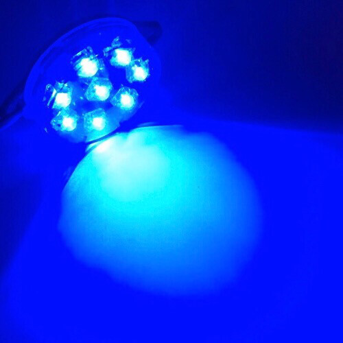 LED18 ChatuKham  Stable light 12V Blue