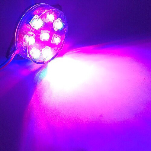 LED18 ChatuKham Stable light 24 V Blue-Red LED18 ChatuKham Stable light 24 V Blue-Red