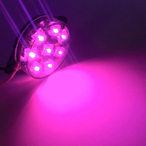 LED18 ChatuKham  Stable light 24 V Pink