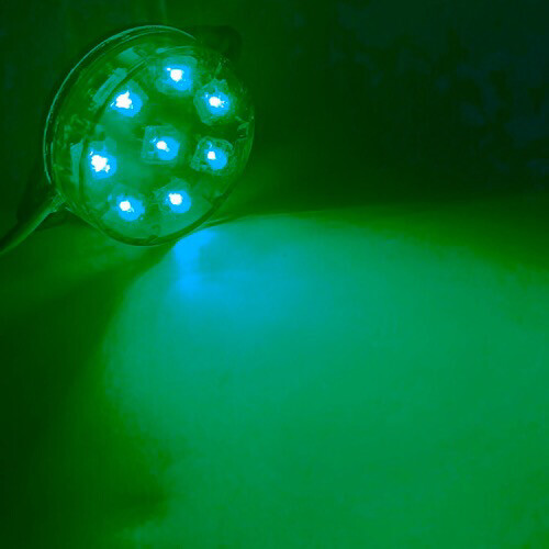 LED18 ChatuKham  Stable light 24V Green