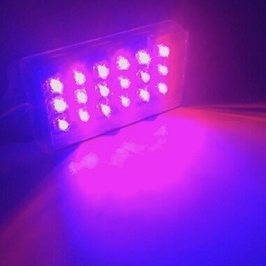 LED18   Stable light 12V  Blue - Red