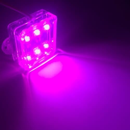 LED  Square​ Stable light 12V Pink