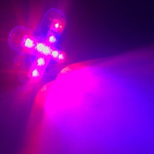 9 LED X, stable light 12V Blue-Red