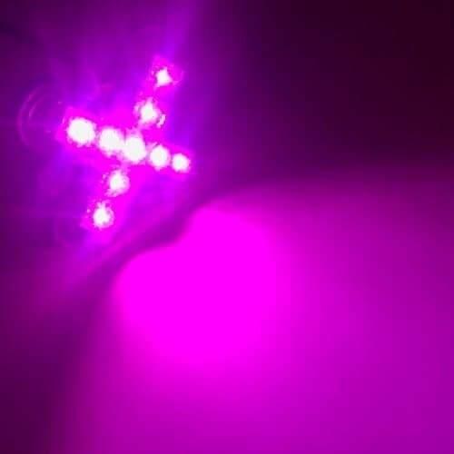 9 LED X, stable light 12V Pink