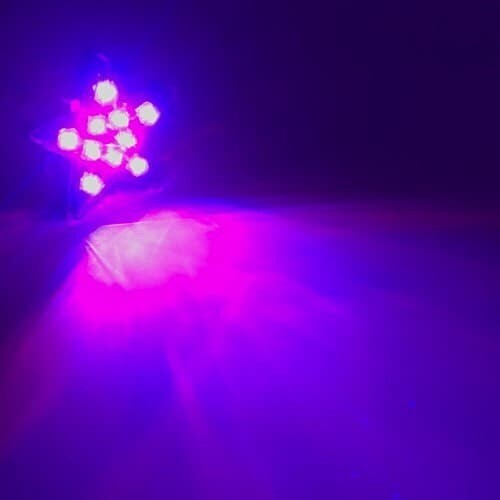 10 LED Star, stable light 12V Blue-Red