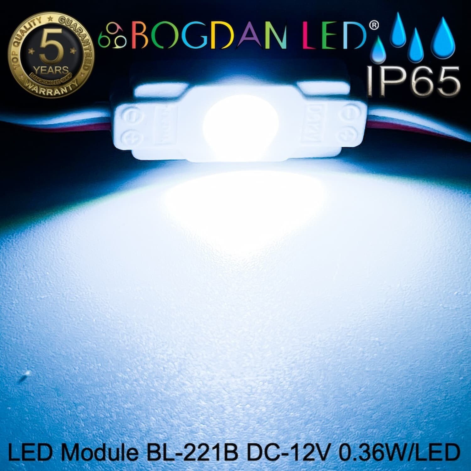 Led Module 2835 BL-221B-CW Cold White 9000K 12V 0.36W