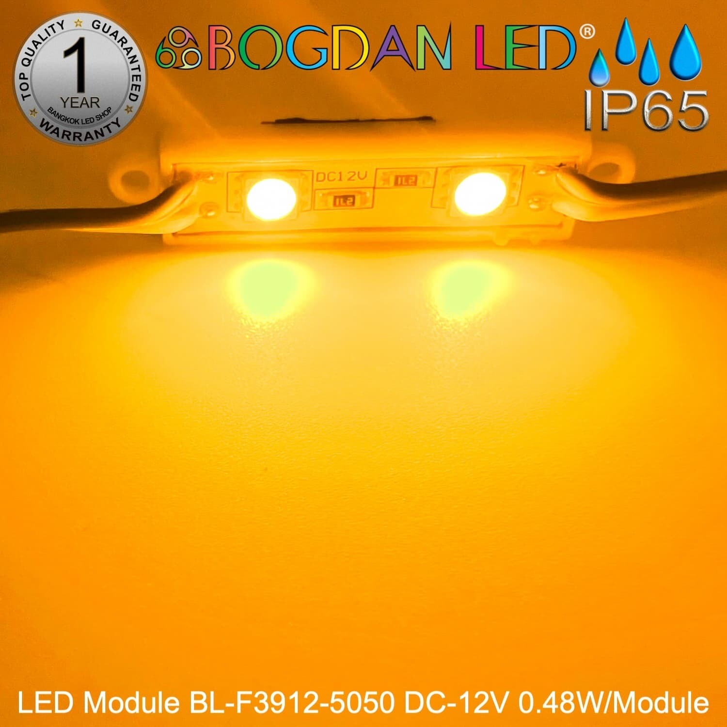 Led Module SMD 5050 2D BL-F3912A-Y