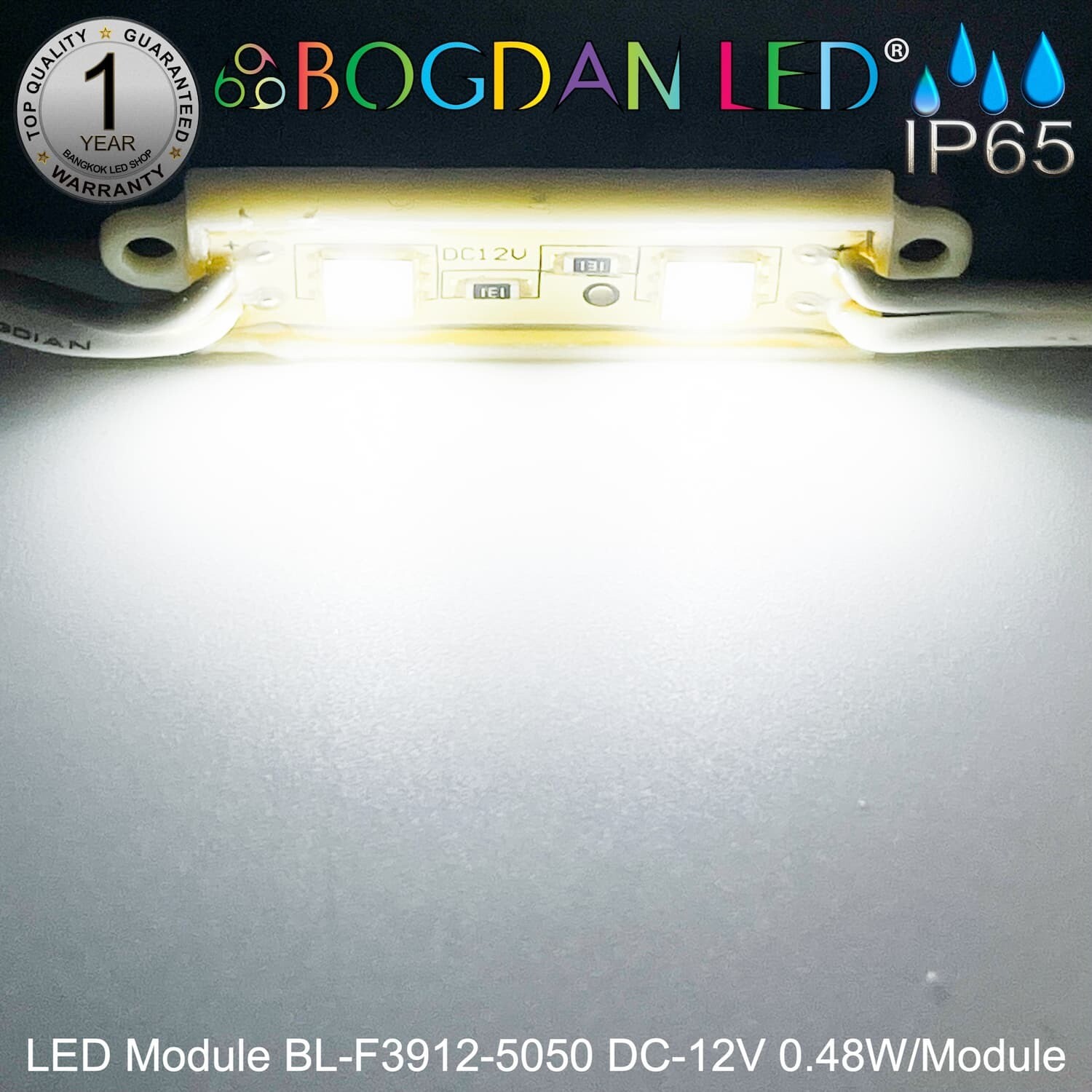 LED Module SMD 5050 2D BL-F3912A-W~White