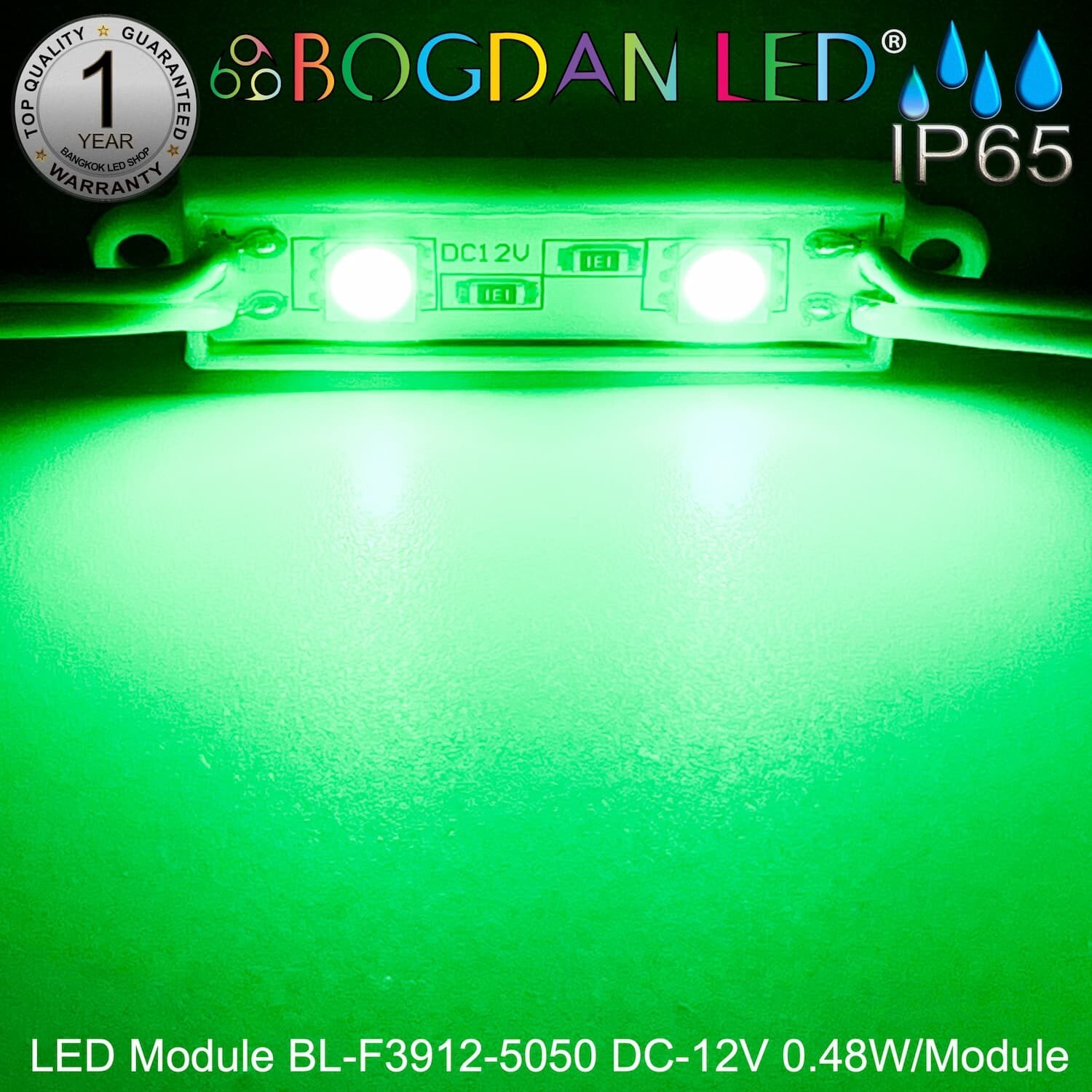 LED Module BL-F3912-5050-G~Green
