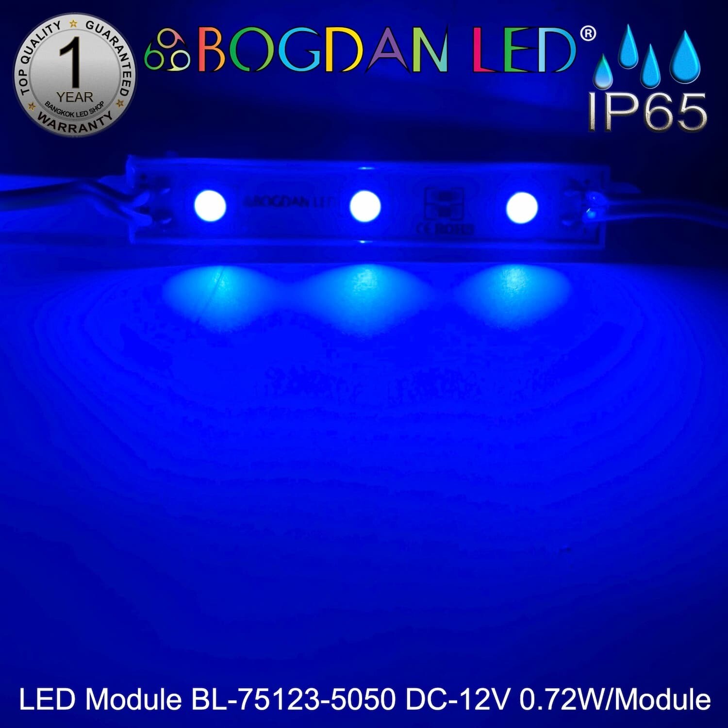 LED Module BL-75123-5050-B Blue