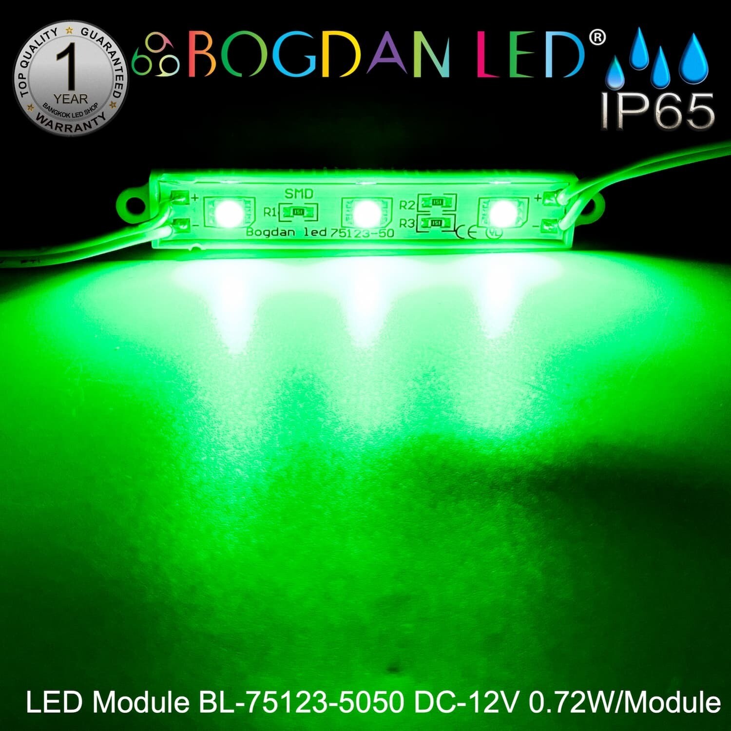 LED Module BL-75123-5050-G Green