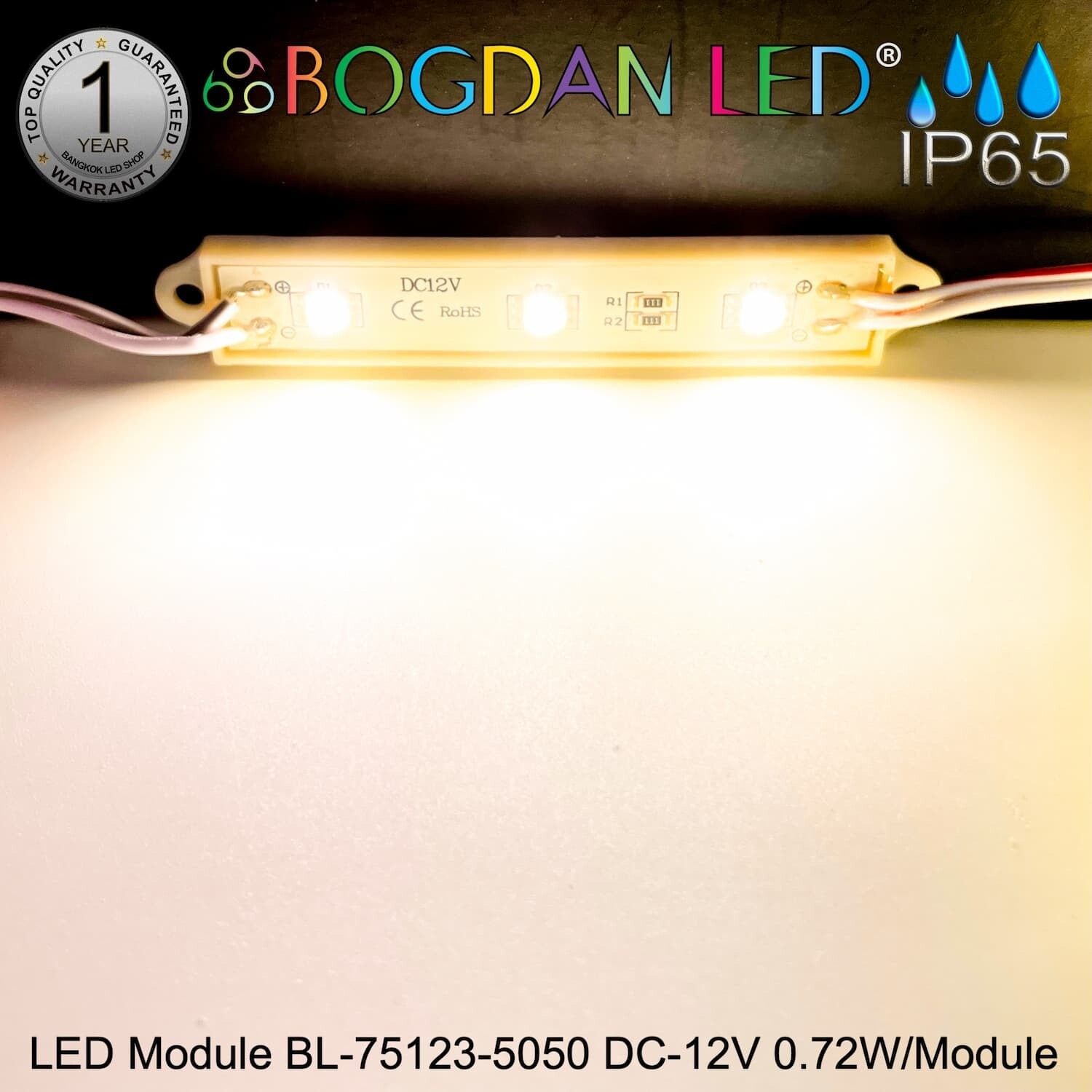 LED Module BL-75123-5050-WW   Warm White