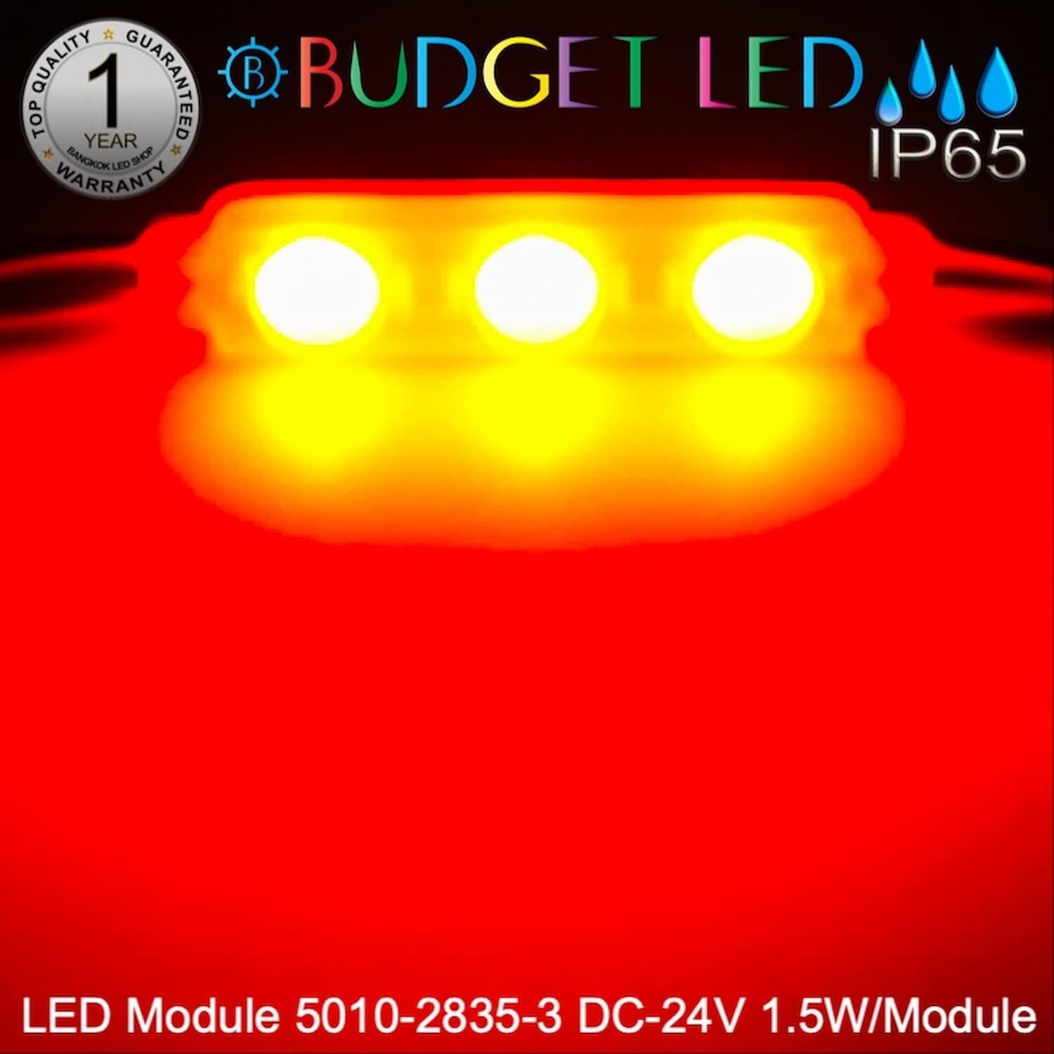 Led Module 5010-2835-R  RED 1.5W 24V