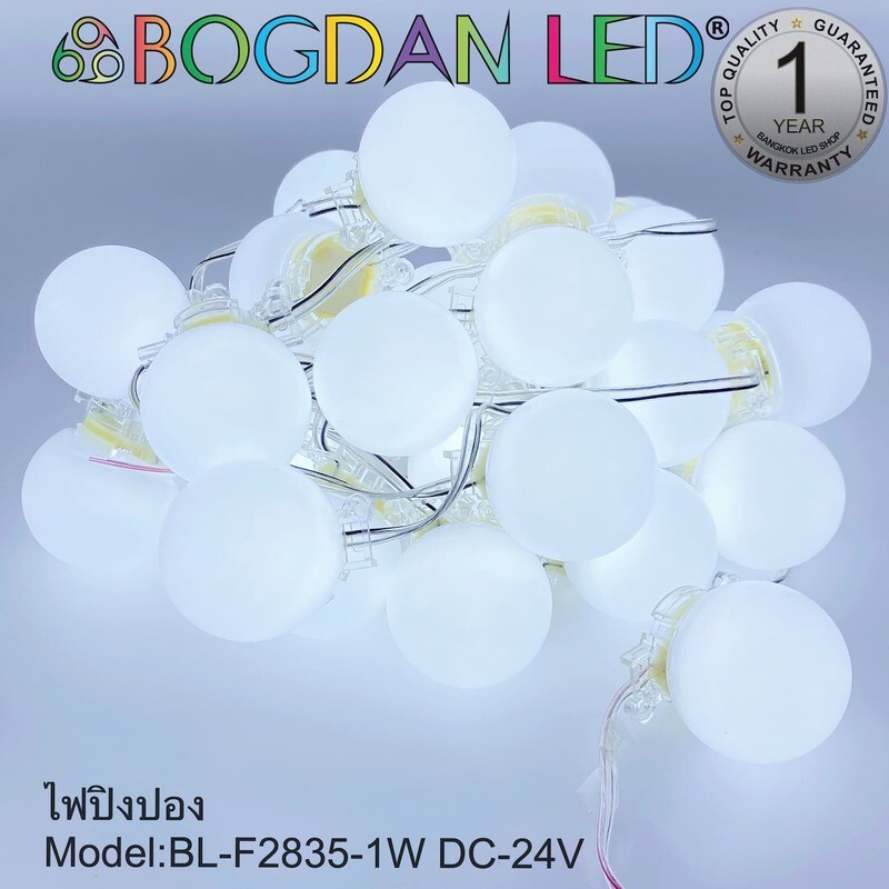 Led Module BL-F2835-1W 24V DC