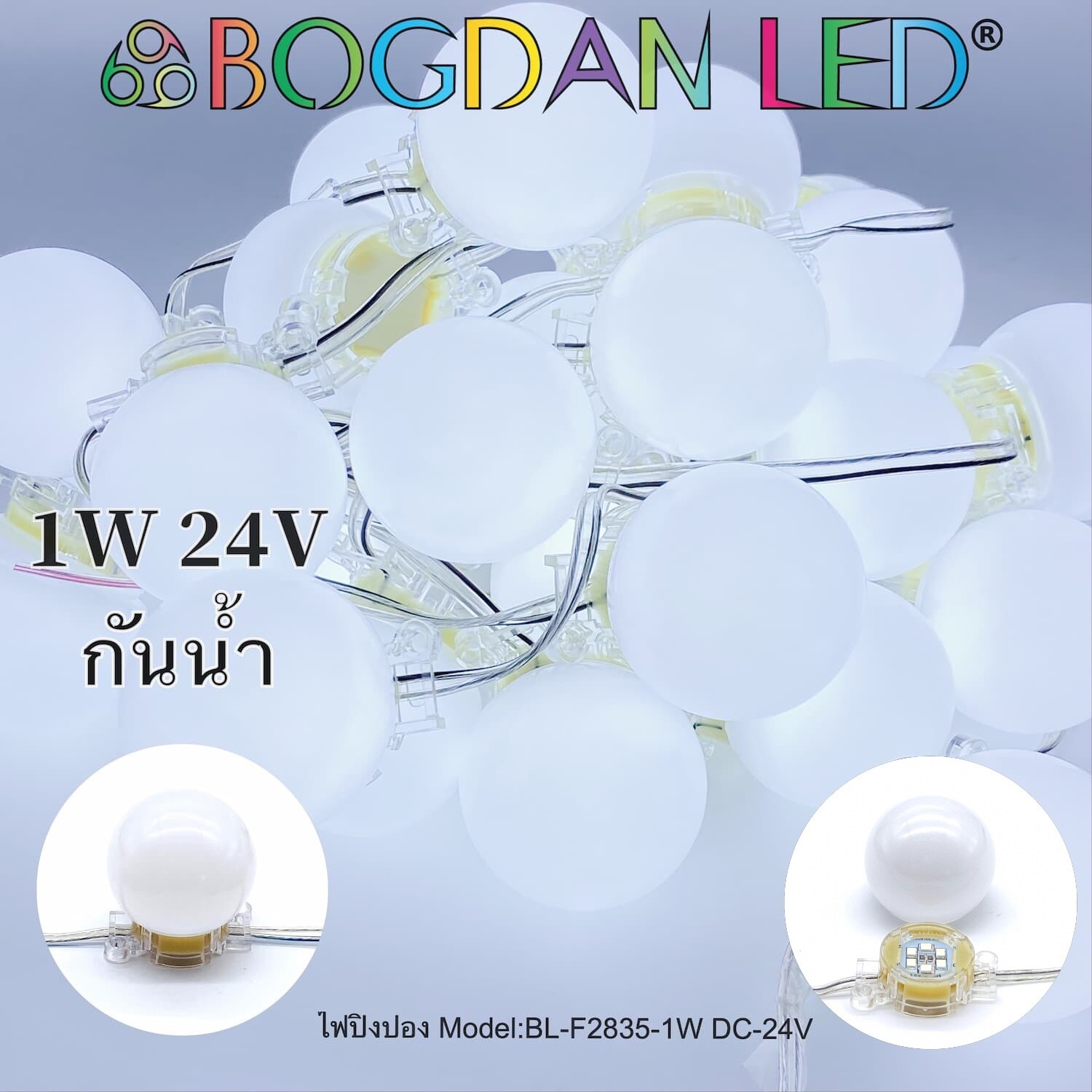 LED Module BL-F2835-1W-W DC-24V White BOGDAN LED