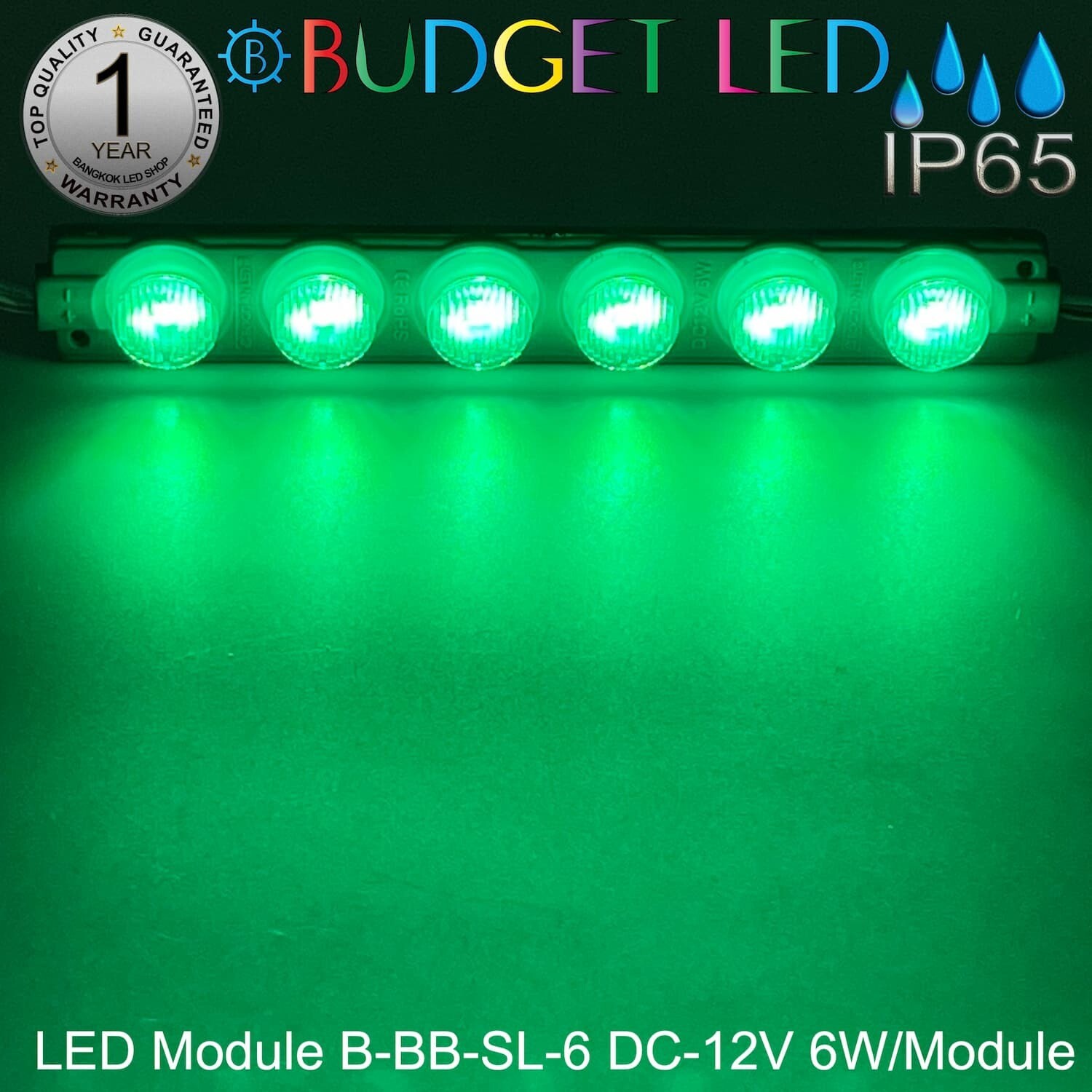 LED Module B-BB-SL-6-G Green DC12V 6W
