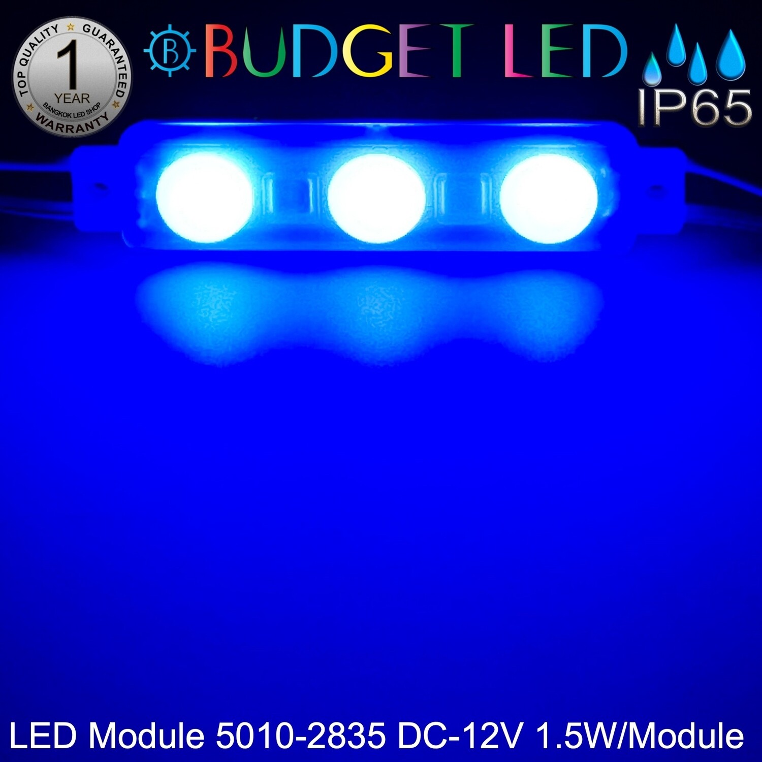 Led Module 5010-2835-B Blue 1.5W 24V