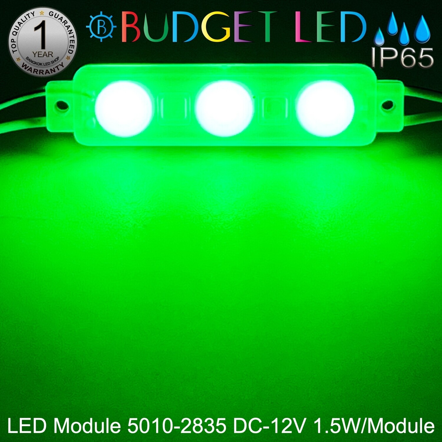 Led Module 5010-2835-G  Green 1.5W 24V