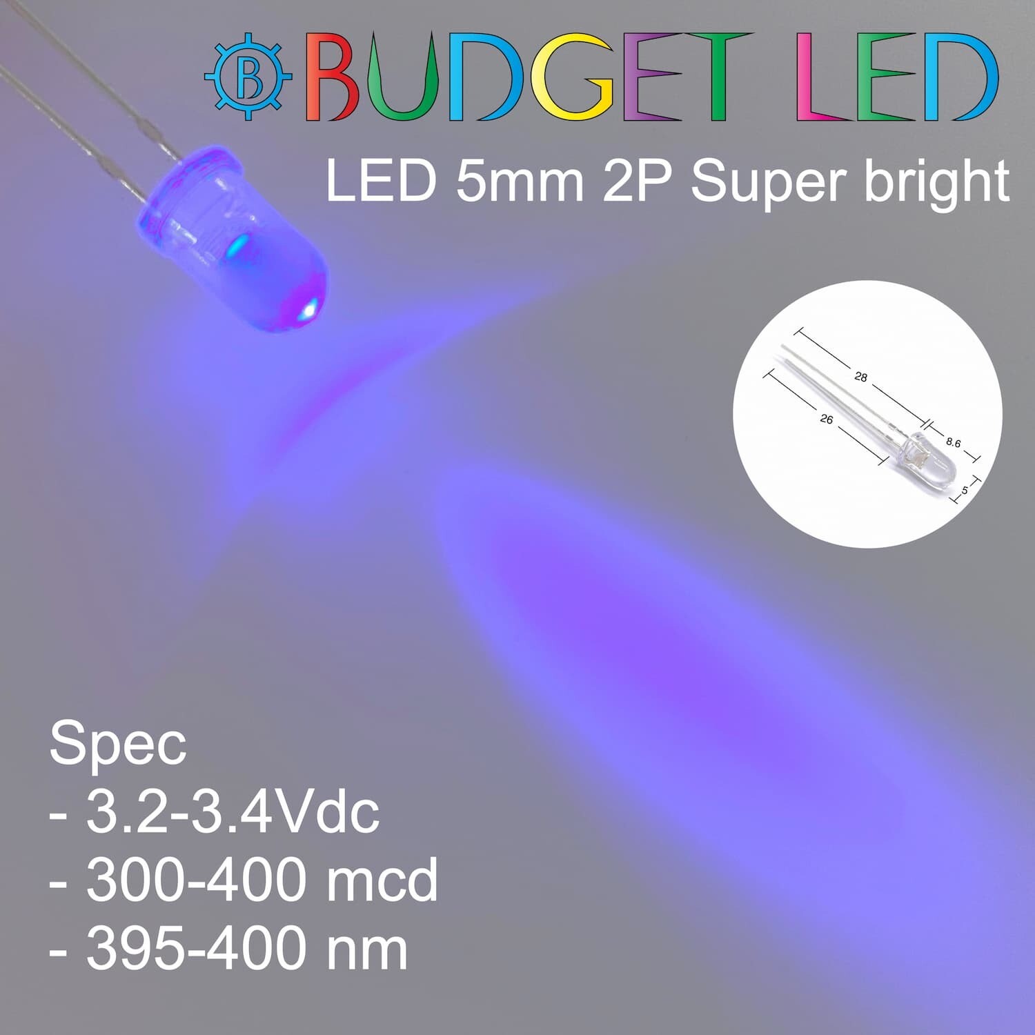 LED 5mm 2P S/P Violet Color (B)