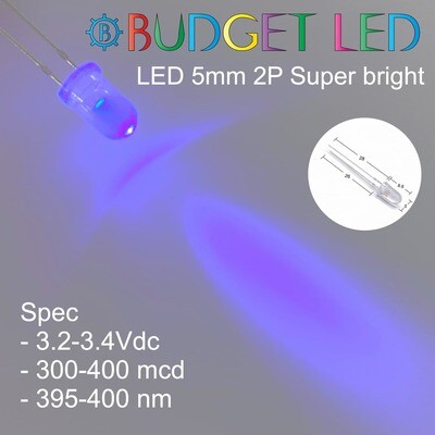 LED 5mm 2P S/P Violet Color (B)