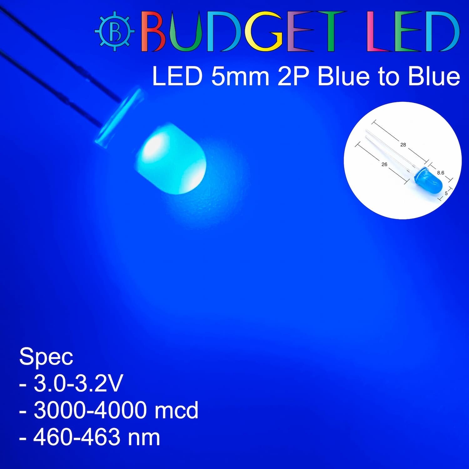 LED 5mm 2P Blue to Blue Color