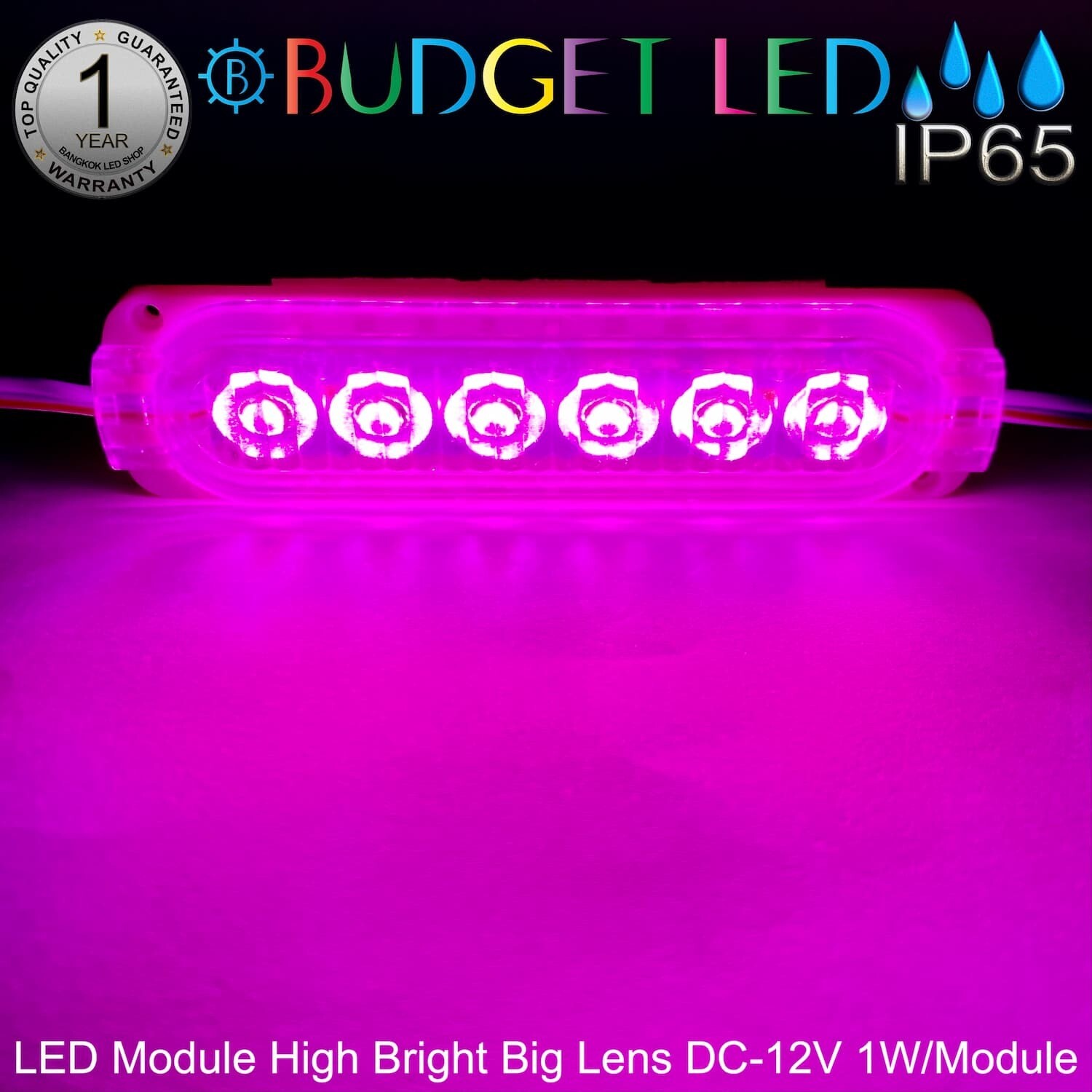 LED Module High Bright Big Lens-6LED 1W 12V Pink