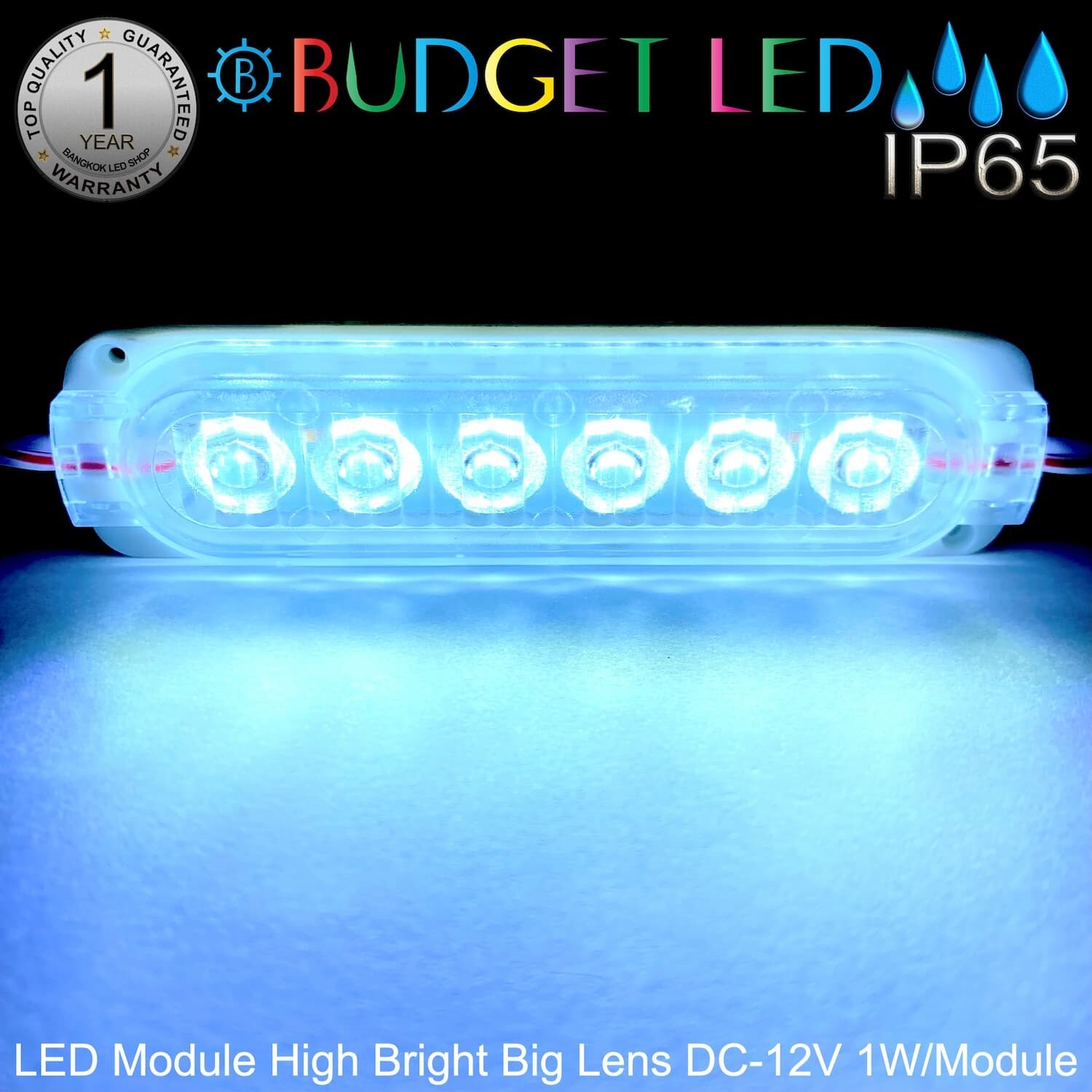 LED Module High Bright Big Lens-6LED 1W 12V White