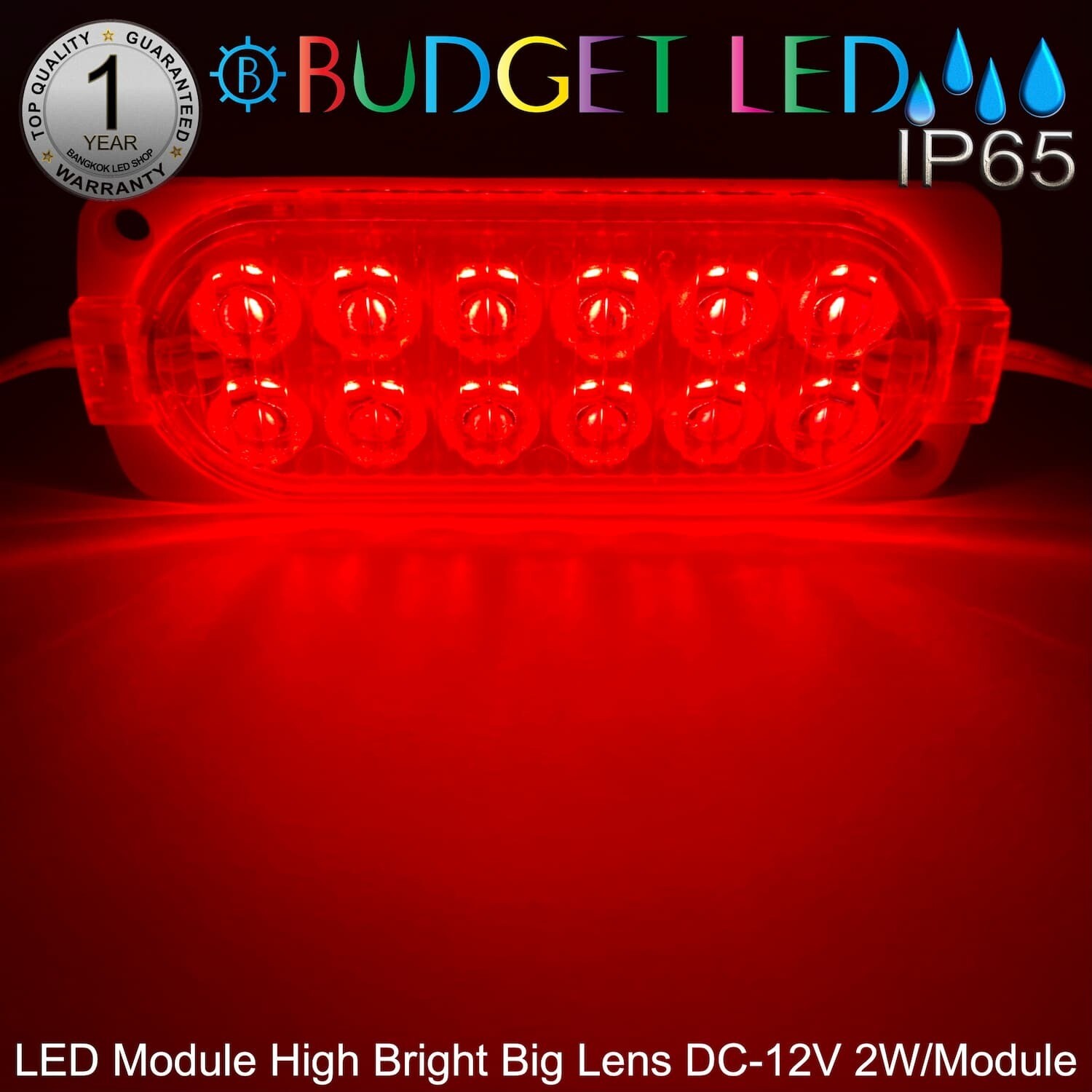 LED Module High Bright Big Lens-12LED 2W 12V Red