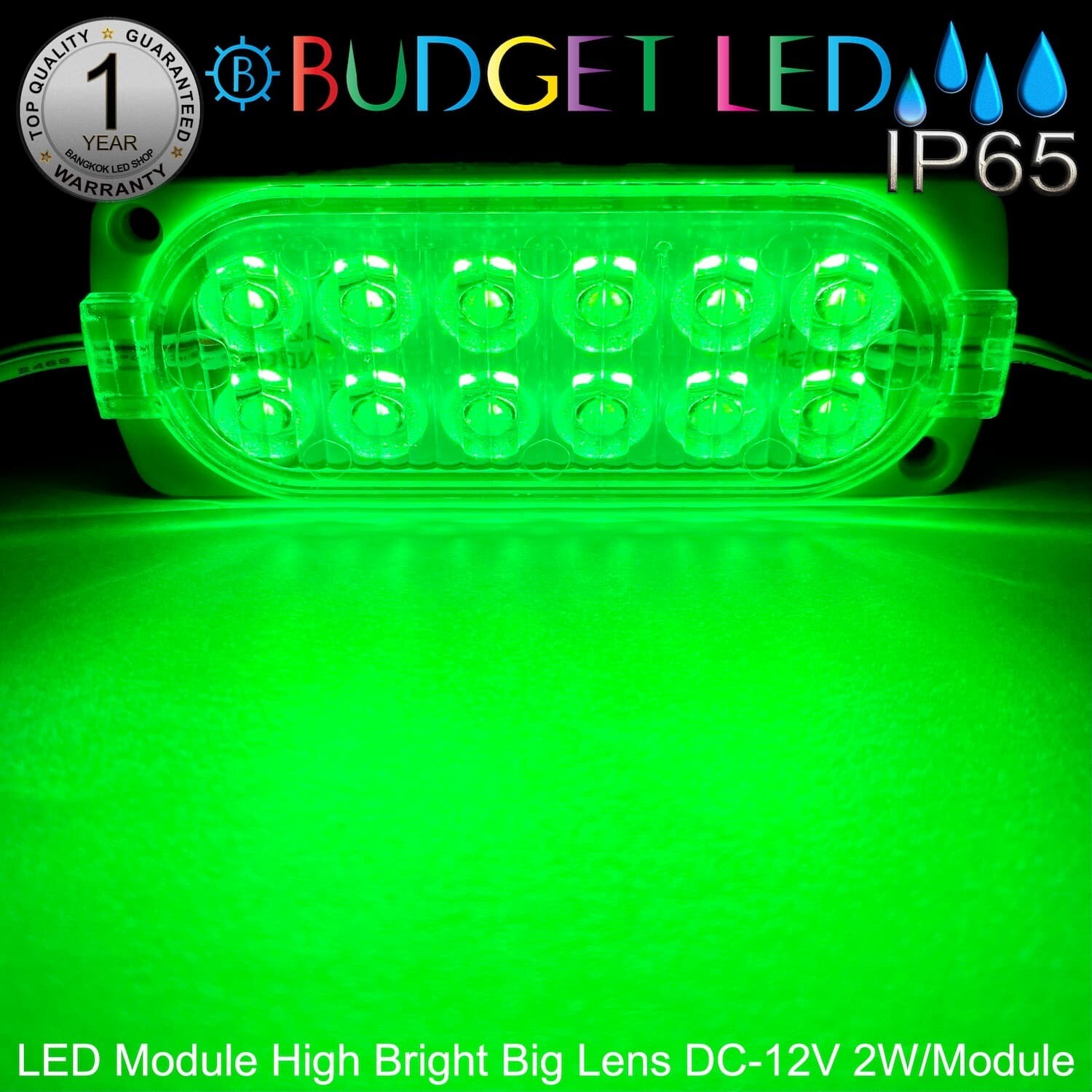 LED Module High Bright Big Lens-12LED 2W 12V  Green