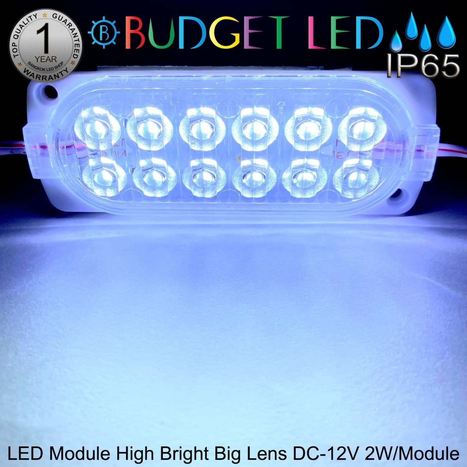 LED Module High Bright Big Lens-12LED 2W 12V White