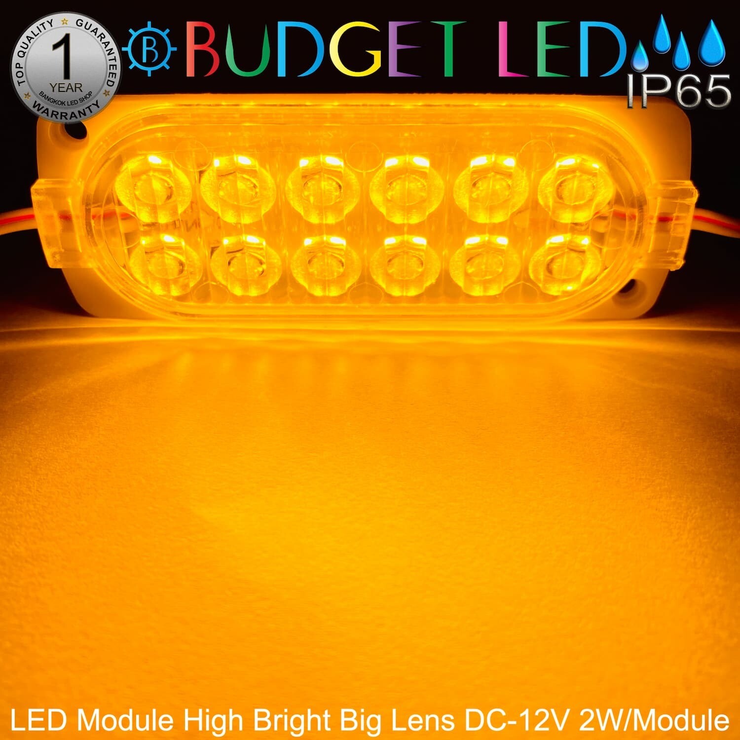 LED Module High Bright Big Lens-12LED 2W 12V Yellow