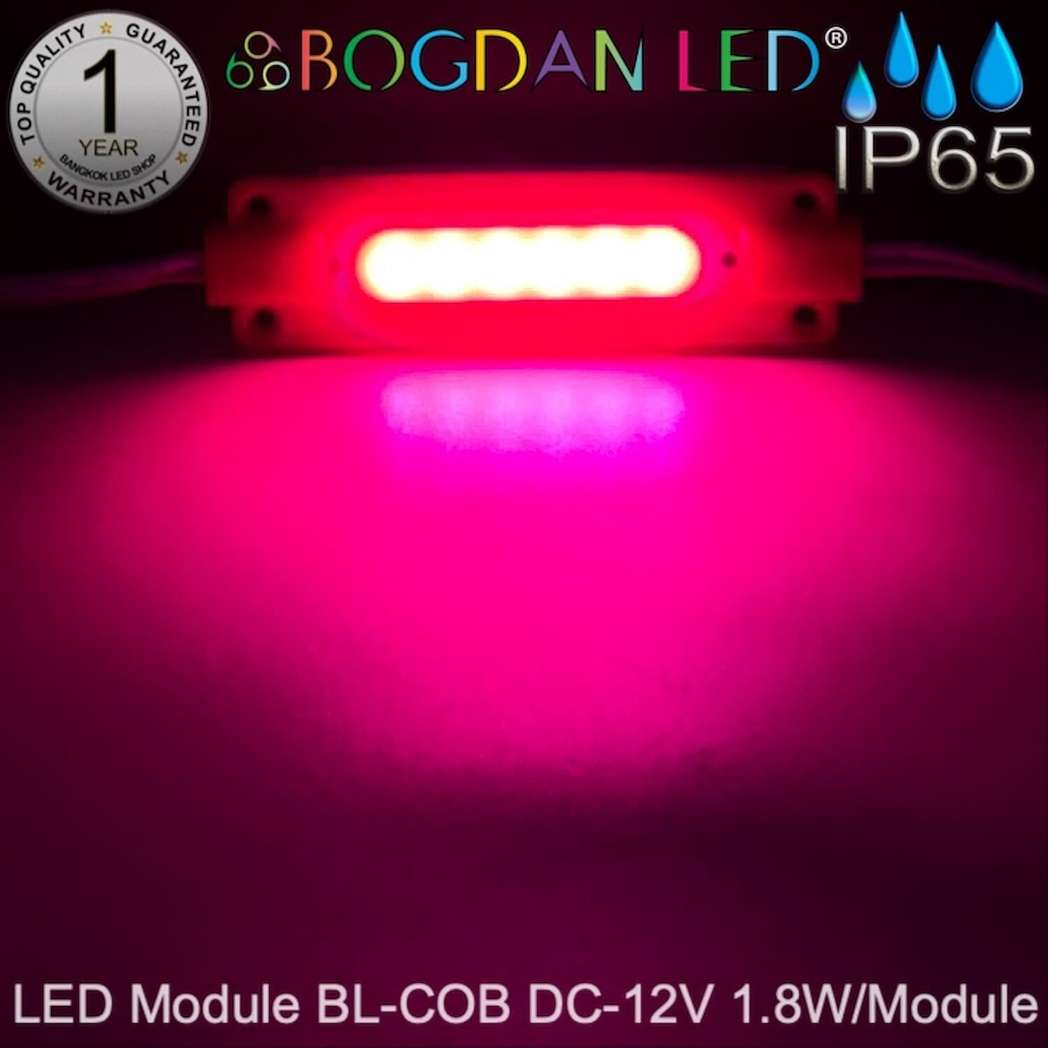 Led Module 1.8W BL-B-COB~Fuchsia pink