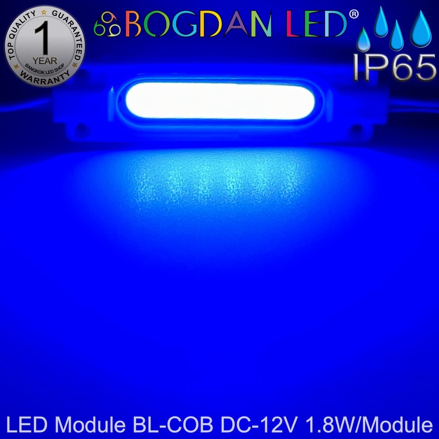 Led Module 1.8W BL-B-COB~Blue Led Module 1.8W BL-B-COB~Blue