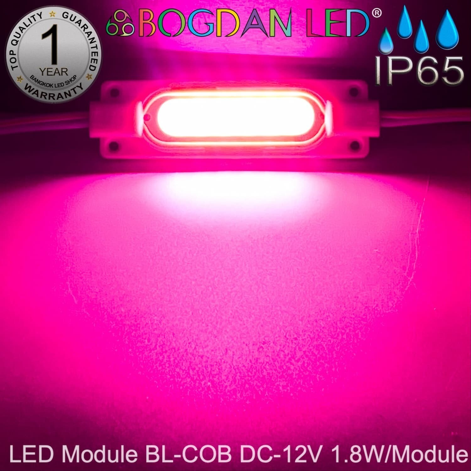 Led Module 1.8W BL-B-COB~Pink