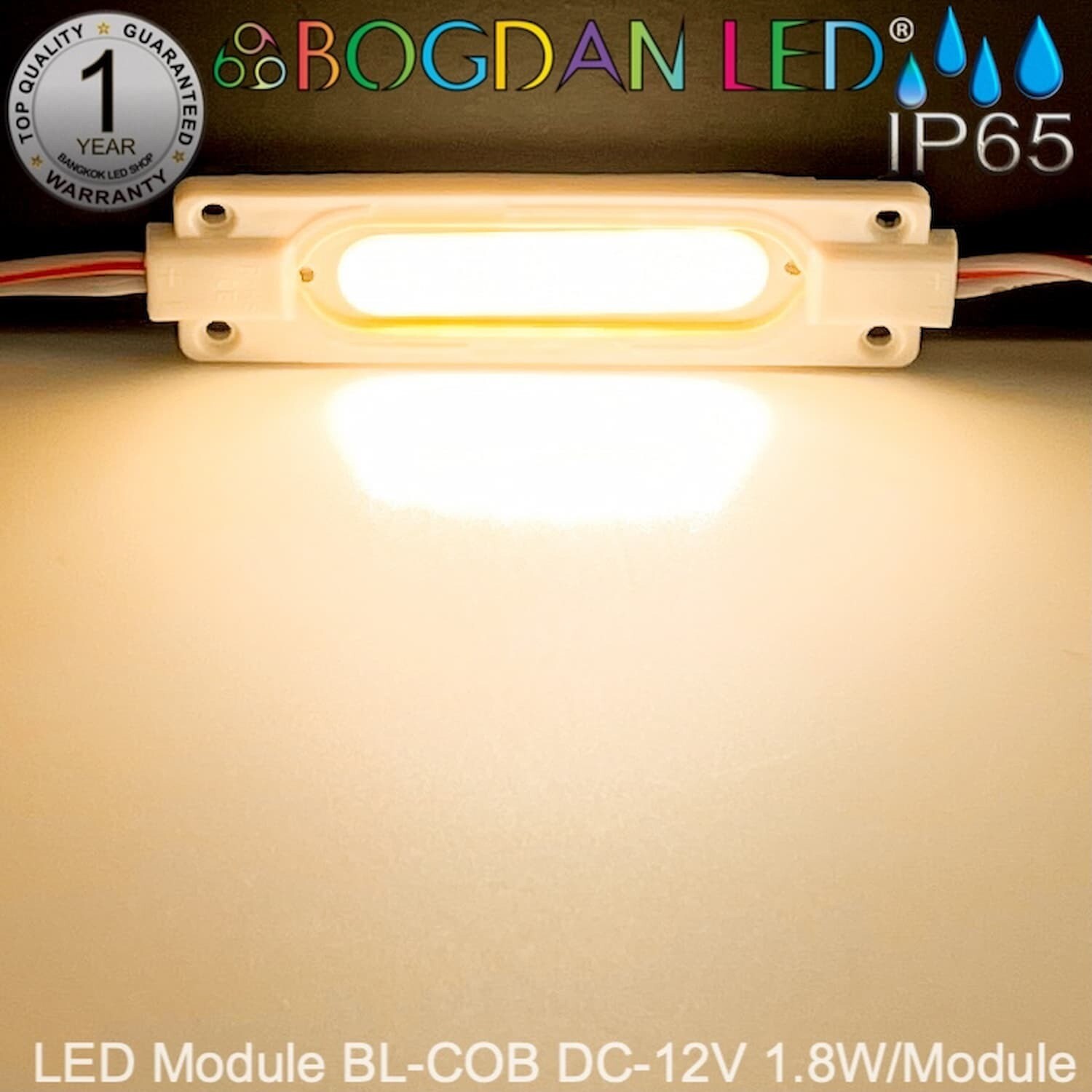 Led Module 1.8W BL-B-COB~Warm White