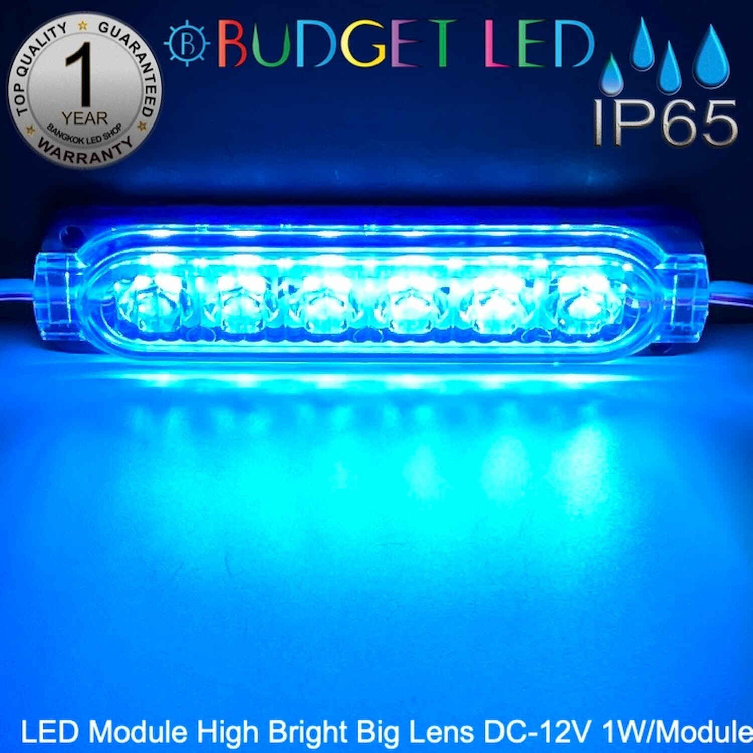 LED Module High Bright Big Lens-6LED 1W 12V  Ice blue