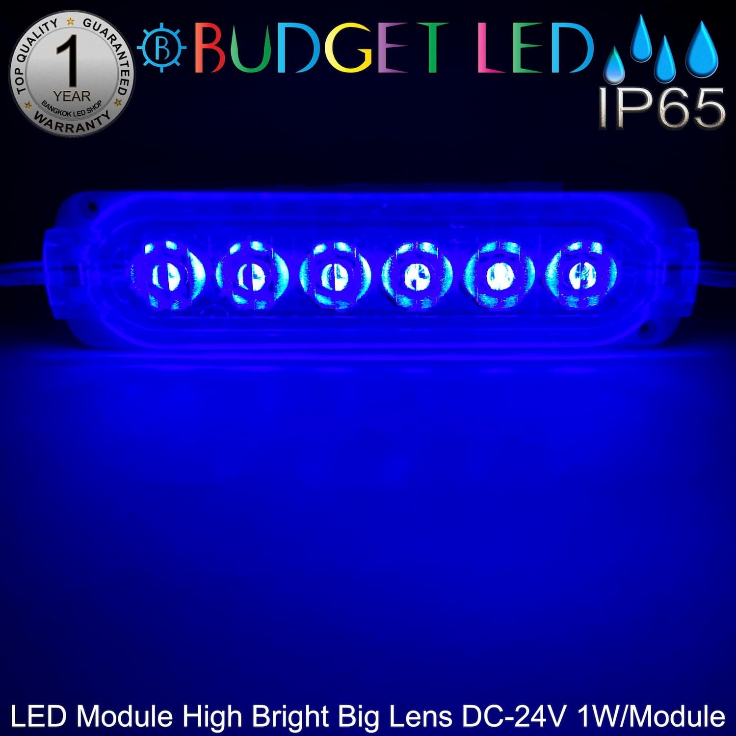 LED Module High Bright Big Lens-6LED 1W 24V Blue