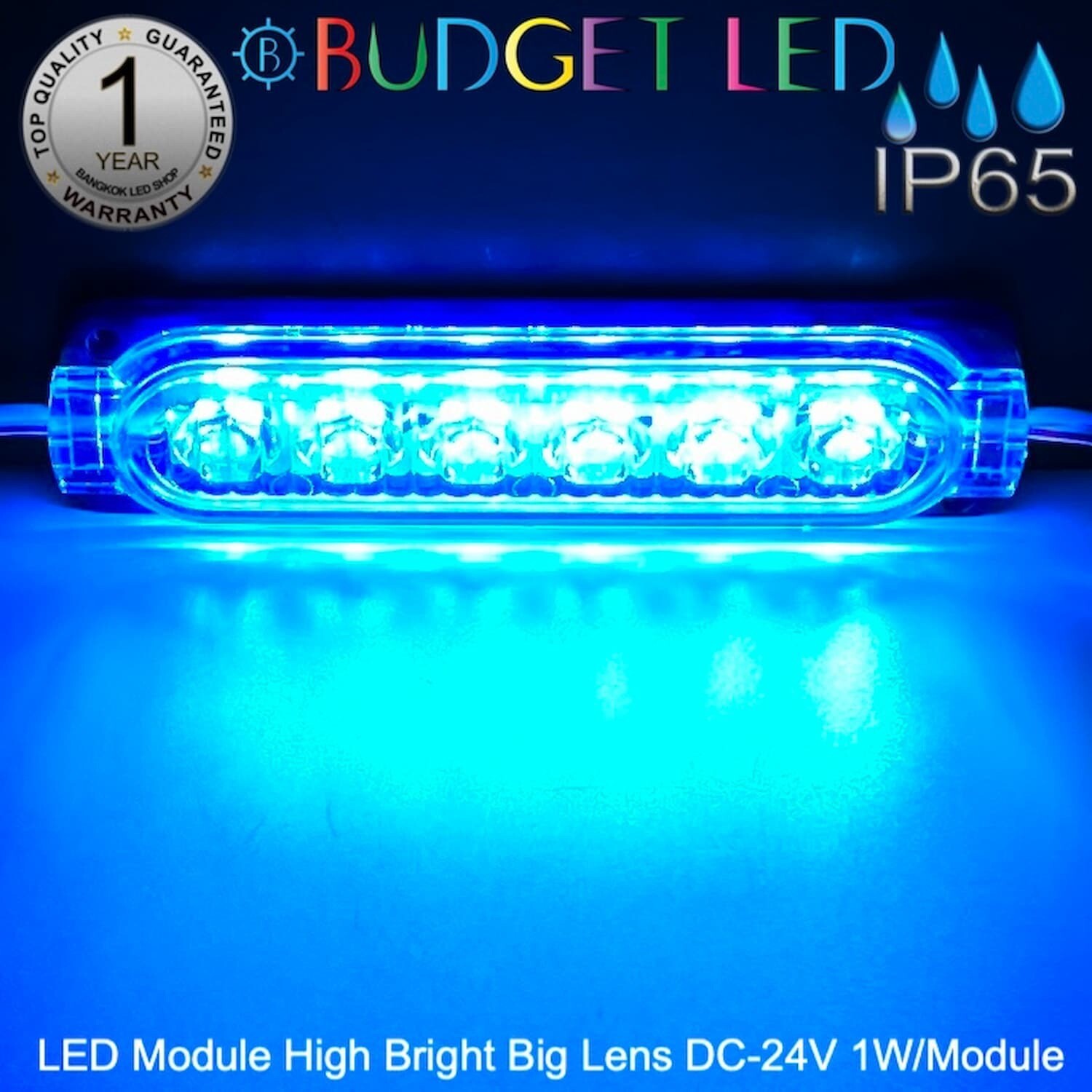LED Module High Bright Big Lens-6LED 1W 24V Ice blue