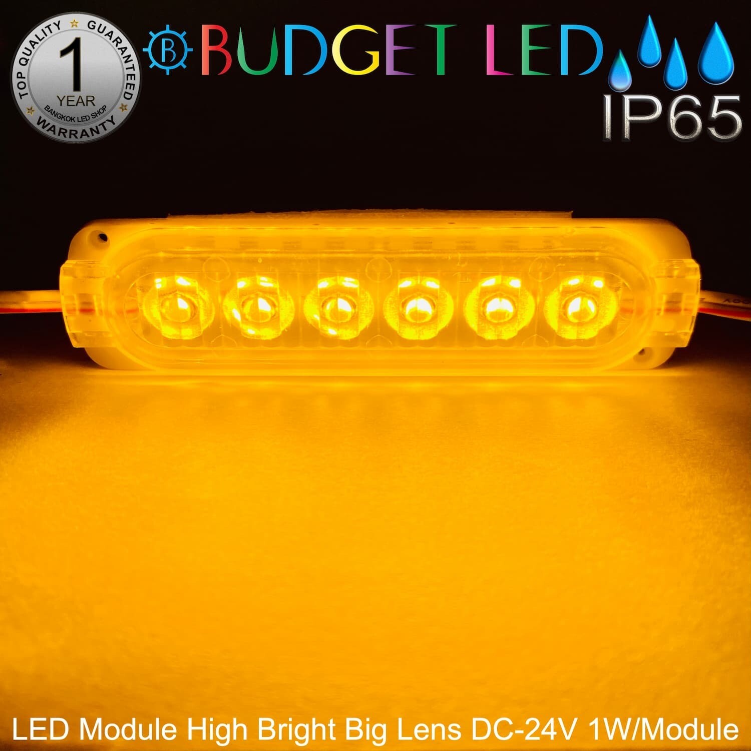 LED Module High Bright Big Lens-6LED 1W 24V